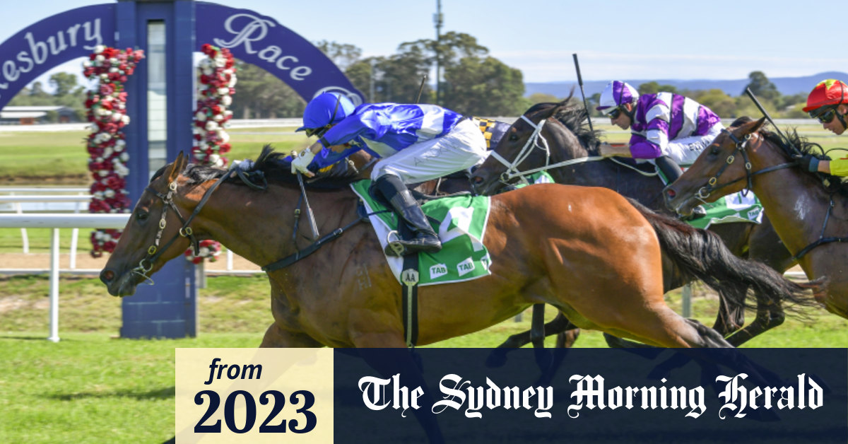 Canterbury night races Friday tips and full preview